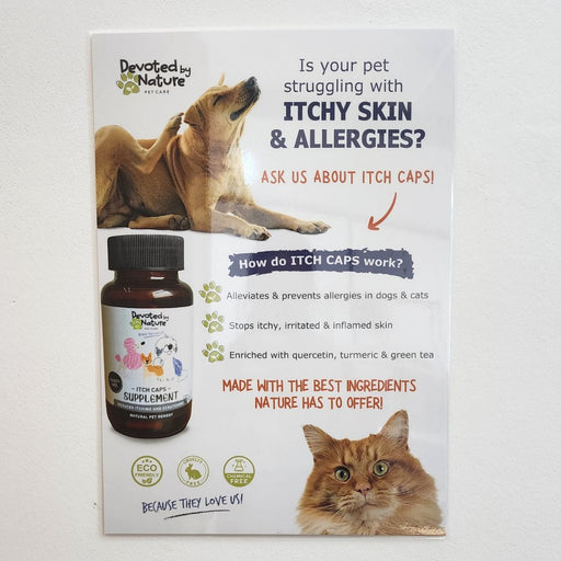 FREE A3 Poster For Wholesale Customers Who Order Itch Caps For Pets - Natural Wholesalers South Africa - Pet Vet Store Supplier