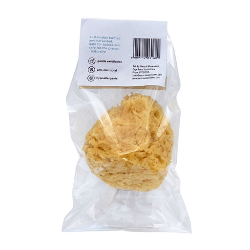 Wholesale BabyNature Gentle Bath Sponge back view, showing the natural yellow sea sponge in clear packaging with product features and barcode.