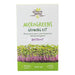 Wholesale beetroot microgreens growing kit by My Growing Health