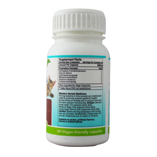 Wholesale C-Caps bottle showing the ingredients label with directions for use and supplement facts.