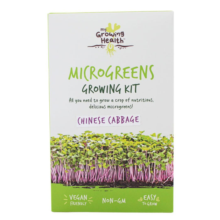 Wholesale Chinese cabbage (pak choi) microgreens DIY growing kit by My Growing Health