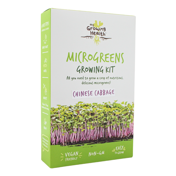 Wholesale Chinese cabbage (pak choi) microgreens DIY growing kit by My Growing Health