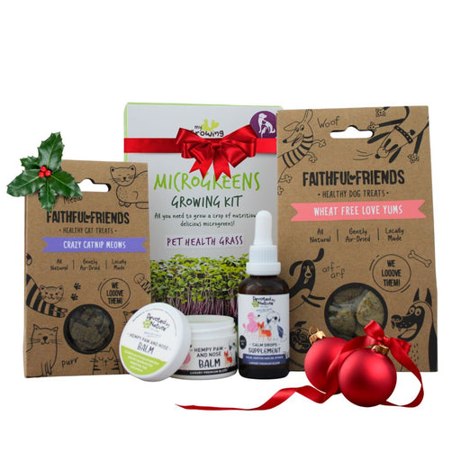 Collection of retail wholesale pet festive gifts including treats, health grass, and supplements with decorative elements on a white background.