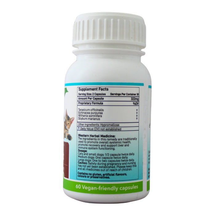 Wholesale Immunity & Liver Support bottle showing the ingredients label with directions for use and supplement facts.