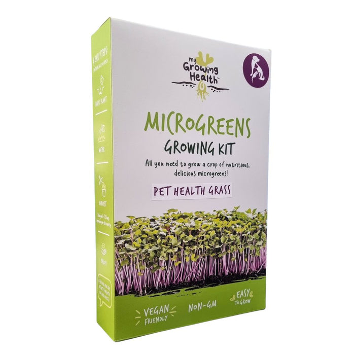 Wholesale supplier: Box of eco-friendly non-GMO microgreens growing kit, containing Pet Grass - nutritious pet supplement