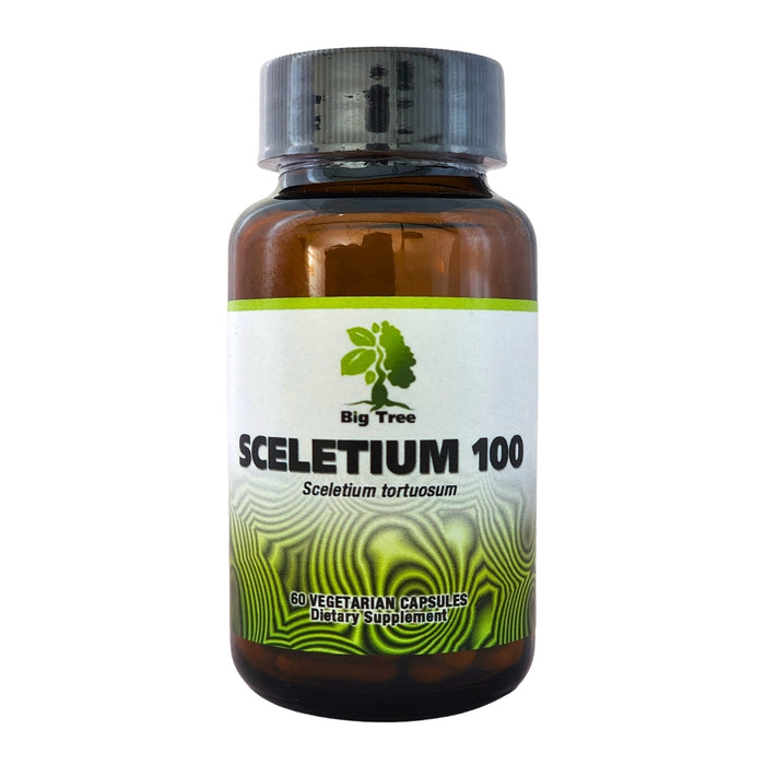 Big Tree Sceletium 100 Sceletium Tortuosum 60 vegetarian capsules bottle for retail wholesale South Africa