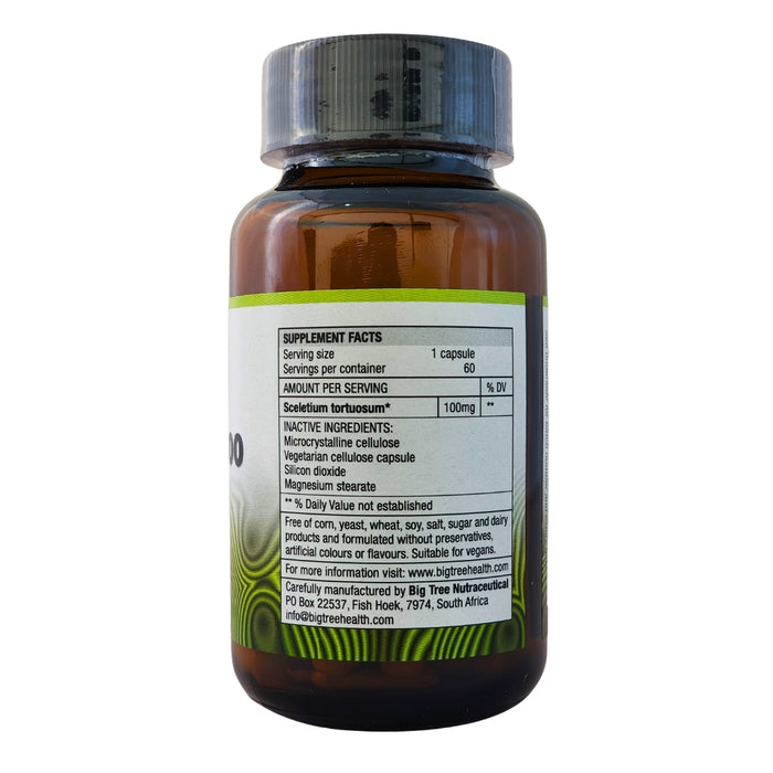Big Tree Sceletium 100 supplement facts label showing vegan ingredients, for retail wholesale South Africa