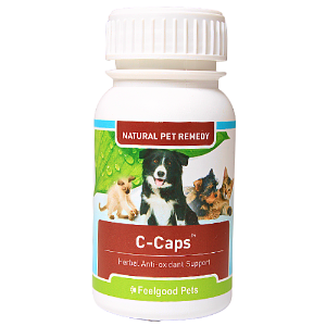 Wholesale Feelgood Pets C-Caps. Natural treatment for dogs cats with cancer