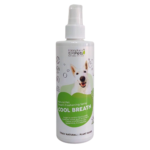 Natural Breath Freshener Spray for Dogs Wholesale Distribution