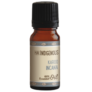 Wholesale Karoo Incana (Pteronia Incana) Essential Oil