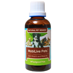 Wholesale Natural Arthritis Medicine For Pets In South Africa