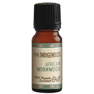 Wholesale African Wormwood Essential Oil (Wilde Als) | Pure Indigenous