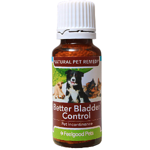 Homeopathic remedies for uti in outlet dogs